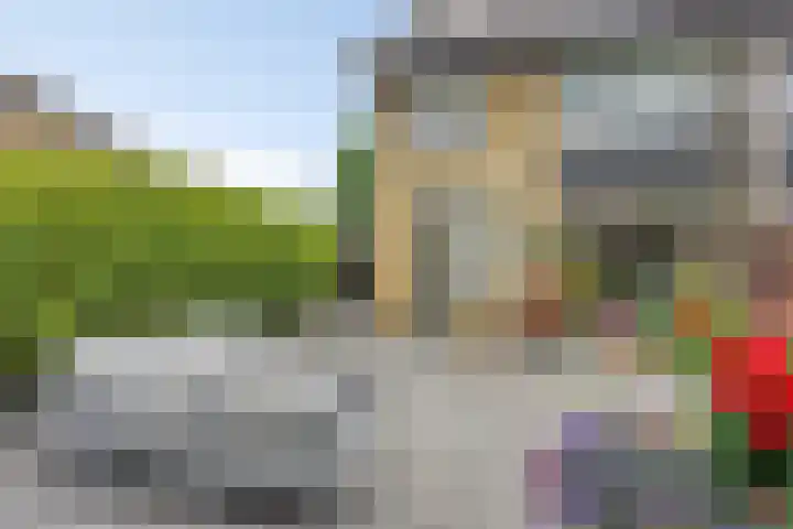 Lankforst 1202 Nijmegen thumbnail 37