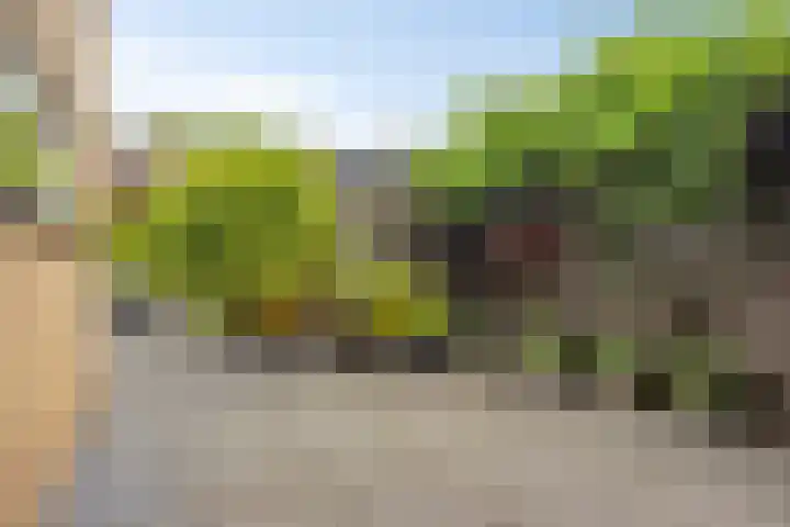 Lankforst 1202 Nijmegen thumbnail 39