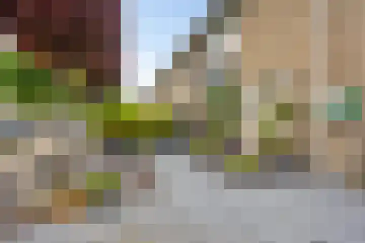 Lankforst 1202 Nijmegen thumbnail 4