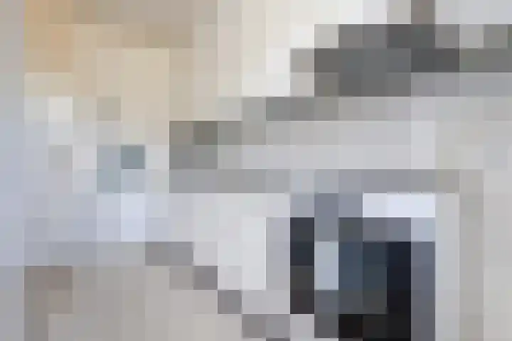 Lankforst 1411 Nijmegen thumbnail 12