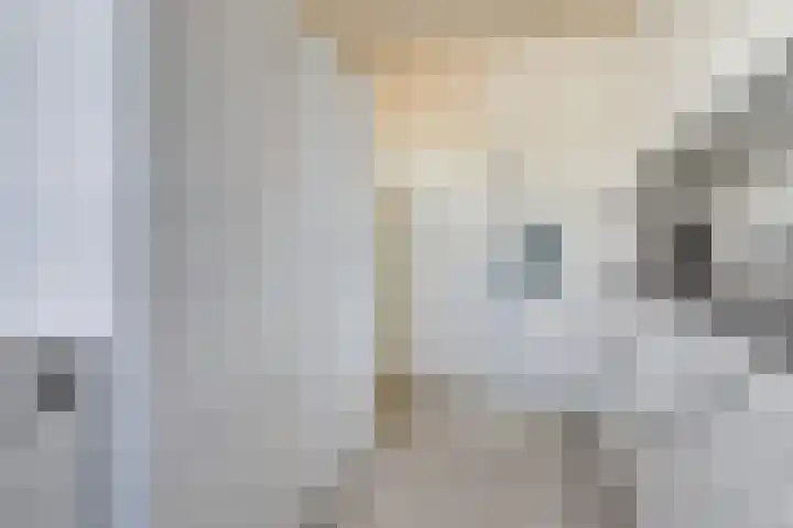 Lankforst 1411 Nijmegen thumbnail 13