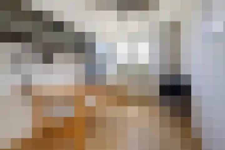 Lankforst 1411 Nijmegen thumbnail 20