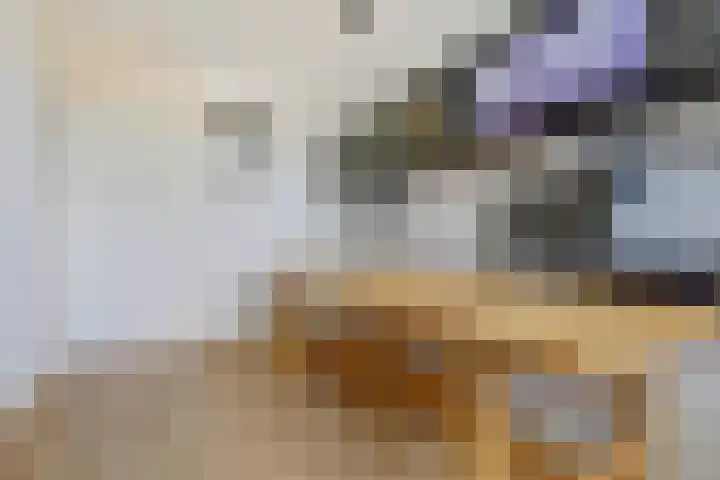 Lankforst 1411 Nijmegen thumbnail 21