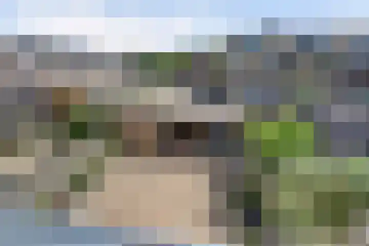 Lankforst 1411 Nijmegen thumbnail 29