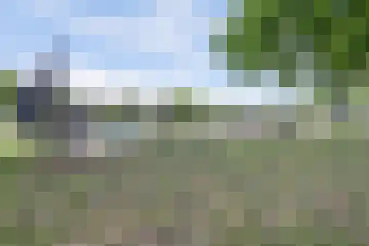 Lankforst 1411 Nijmegen thumbnail 35