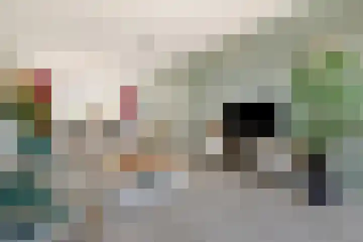 Lankforst 1411 Nijmegen thumbnail 6