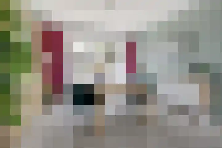 Lankforst 1411 Nijmegen thumbnail 8
