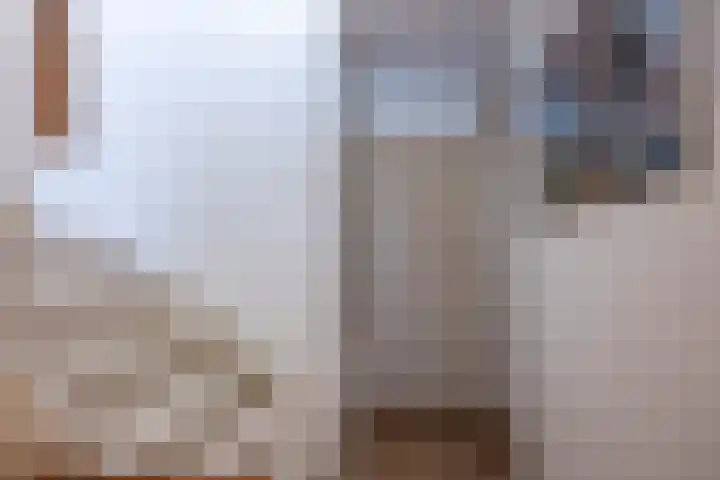 Lankforst 2118 Nijmegen thumbnail 18