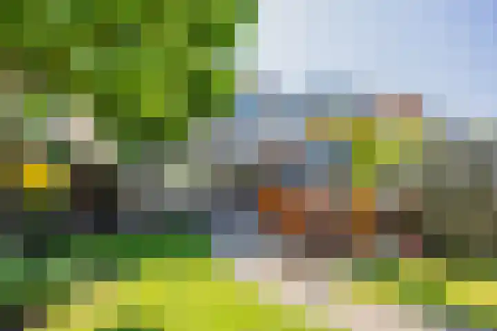 Lankforst 2118 Nijmegen thumbnail 37
