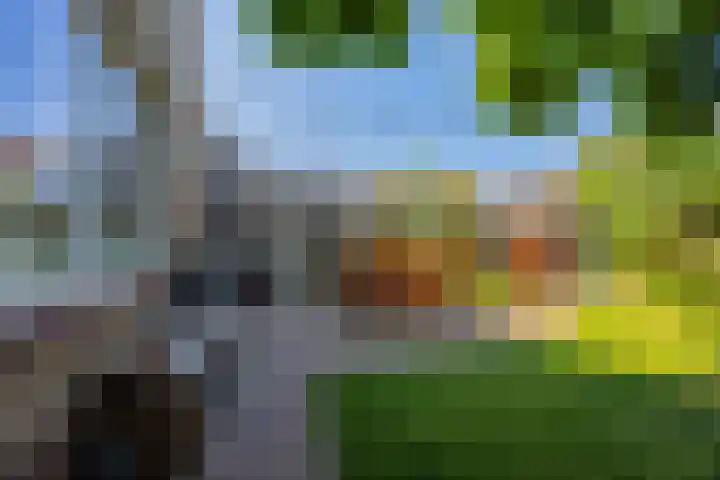 Lankforst 2118 Nijmegen thumbnail 38