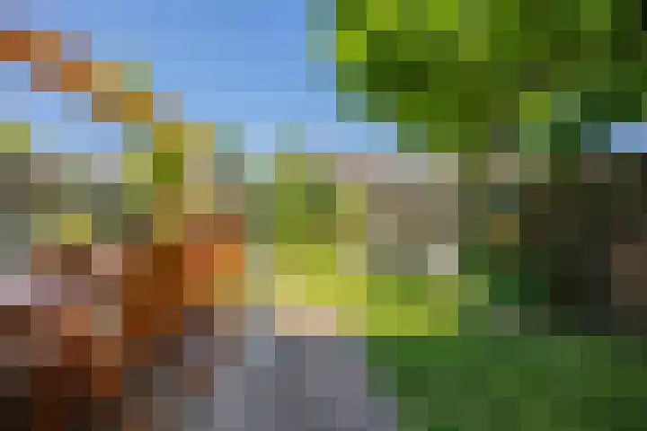 Lankforst 2118 Nijmegen thumbnail 40