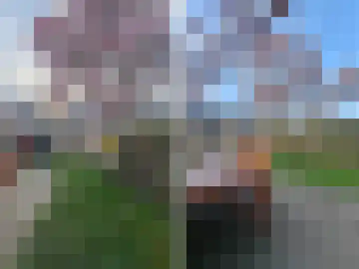 Lankforst 2118 Nijmegen thumbnail 41
