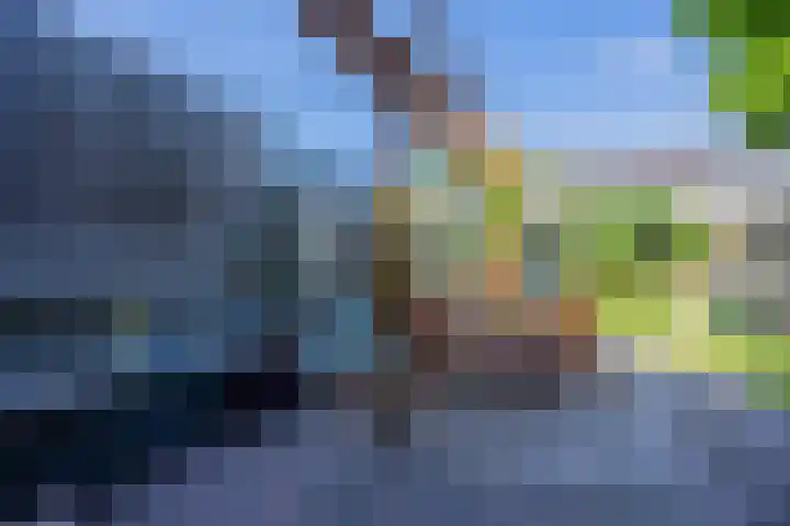 Lankforst 2118 Nijmegen thumbnail 44
