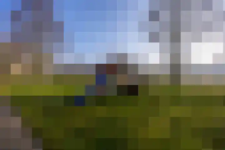 Lankforst 2118 Nijmegen thumbnail 49