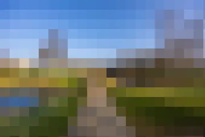Lankforst 2118 Nijmegen thumbnail 51