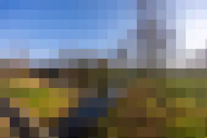 Lankforst 2118 Nijmegen thumbnail 52