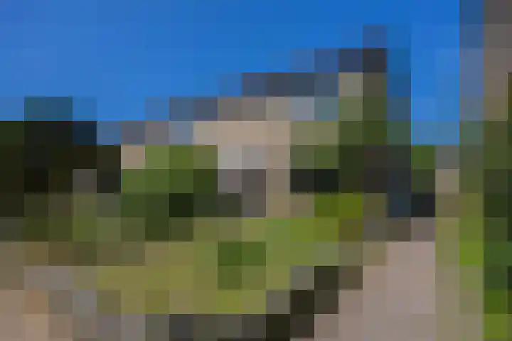 Lankforst 2118 Nijmegen thumbnail 56