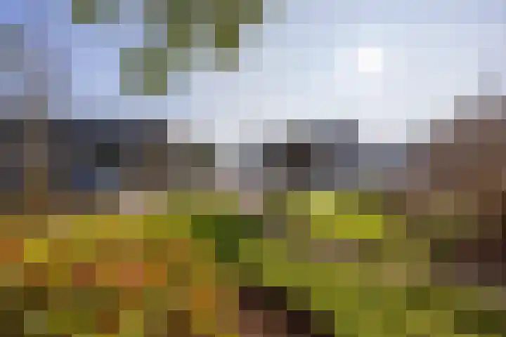 Lankforst 2118 Nijmegen thumbnail 57
