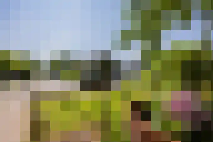 Lankforst 2118 Nijmegen thumbnail 58
