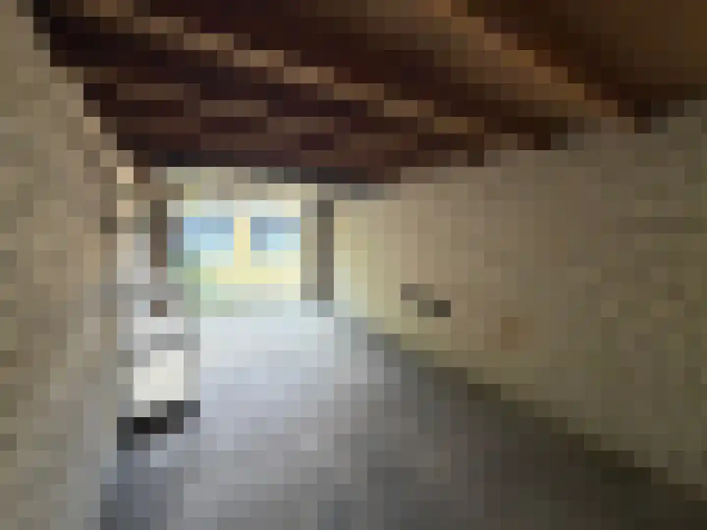 Lankforst 2142 J Nijmegen thumbnail 9