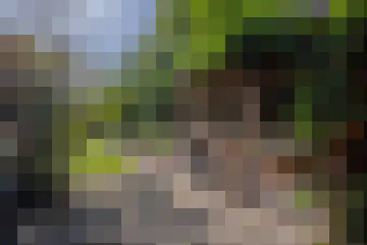 Lankforst 2329 A Nijmegen thumbnail 36