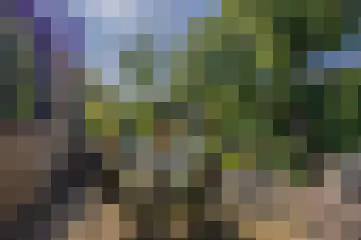 Lankforst 2329 A Nijmegen thumbnail 39