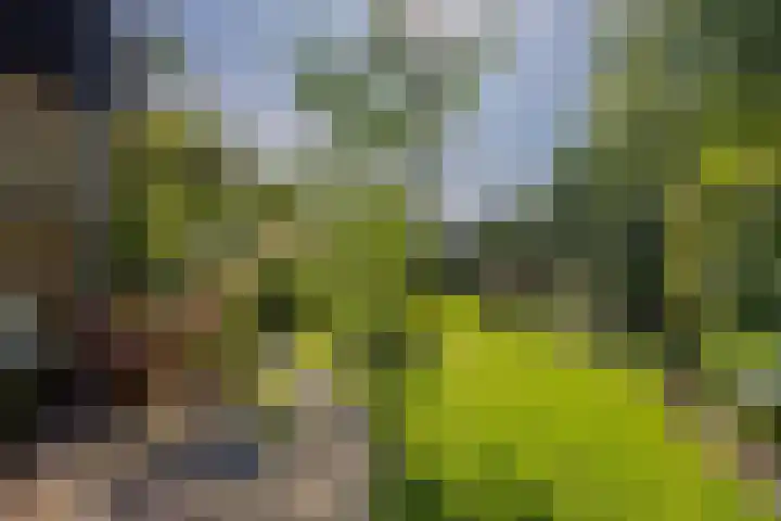 Lankforst 2329 A Nijmegen thumbnail 40