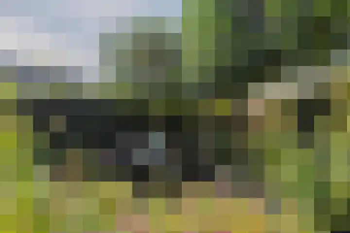 Lankforst 2329 A Nijmegen thumbnail 42