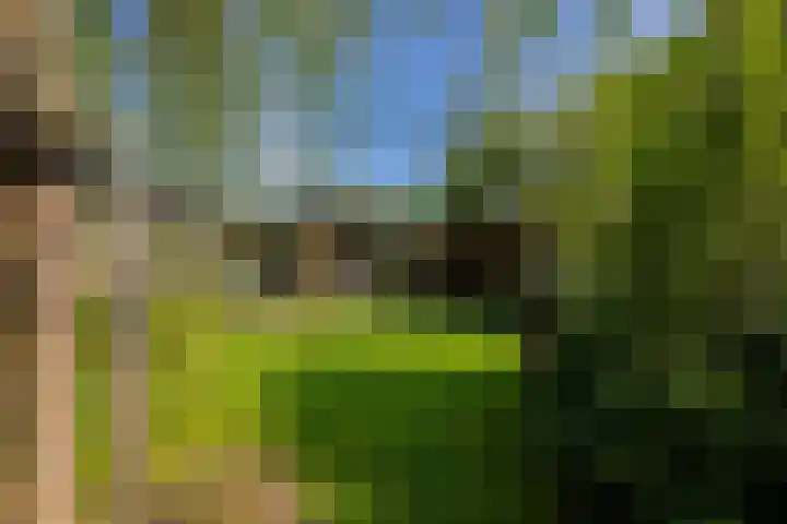 Lankforst 2329 A Nijmegen thumbnail 44