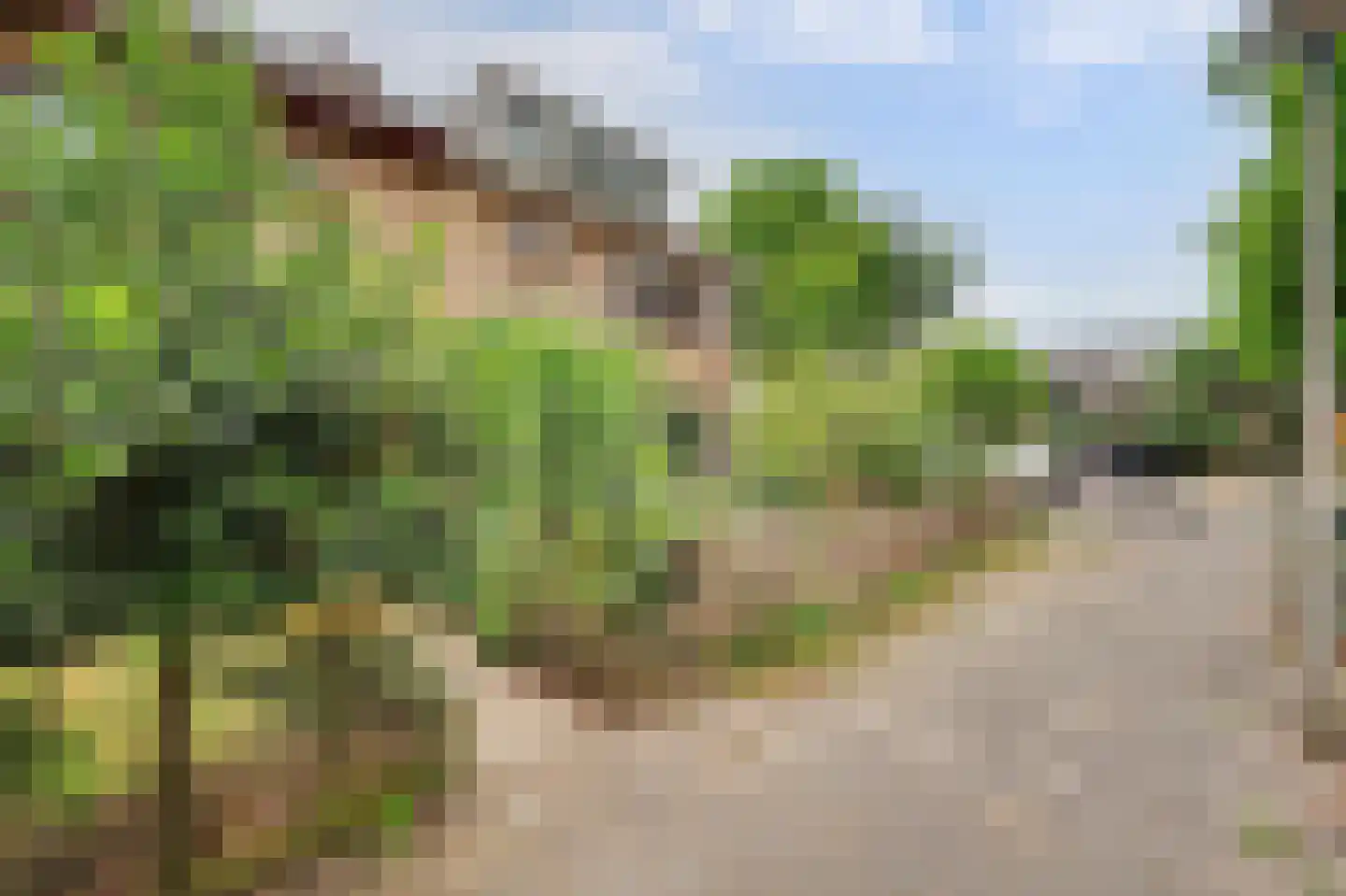 Lankforst 2350 Nijmegen thumbnail 4