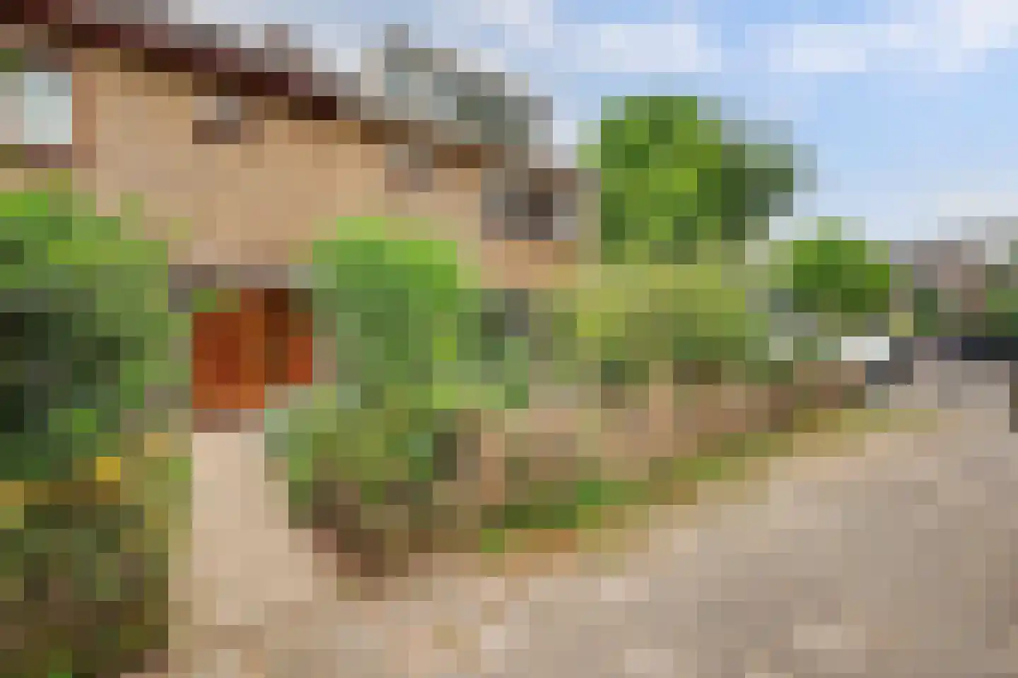 Lankforst 2350 Nijmegen thumbnail 5