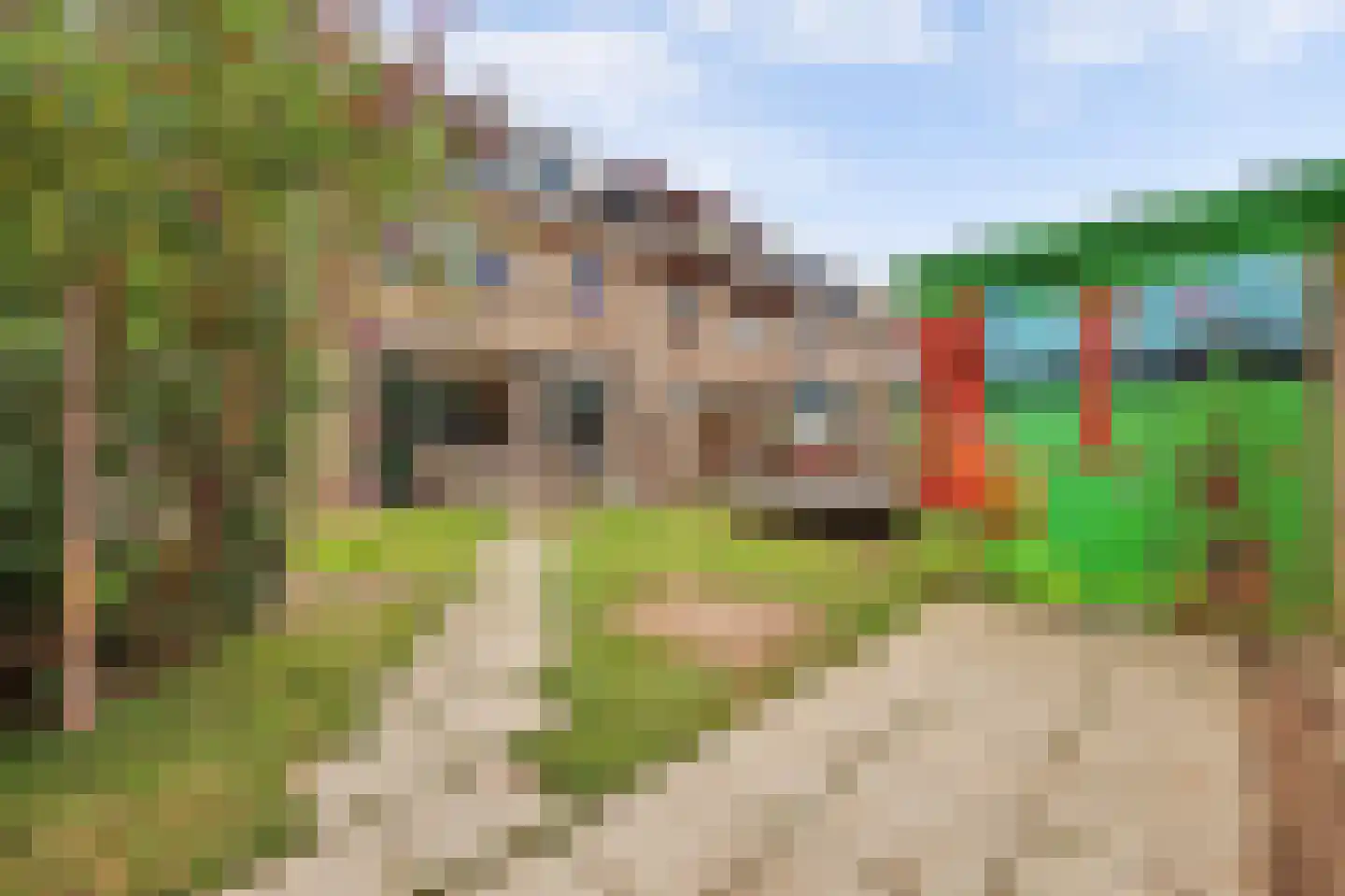 Lankforst 2350 Nijmegen thumbnail 53
