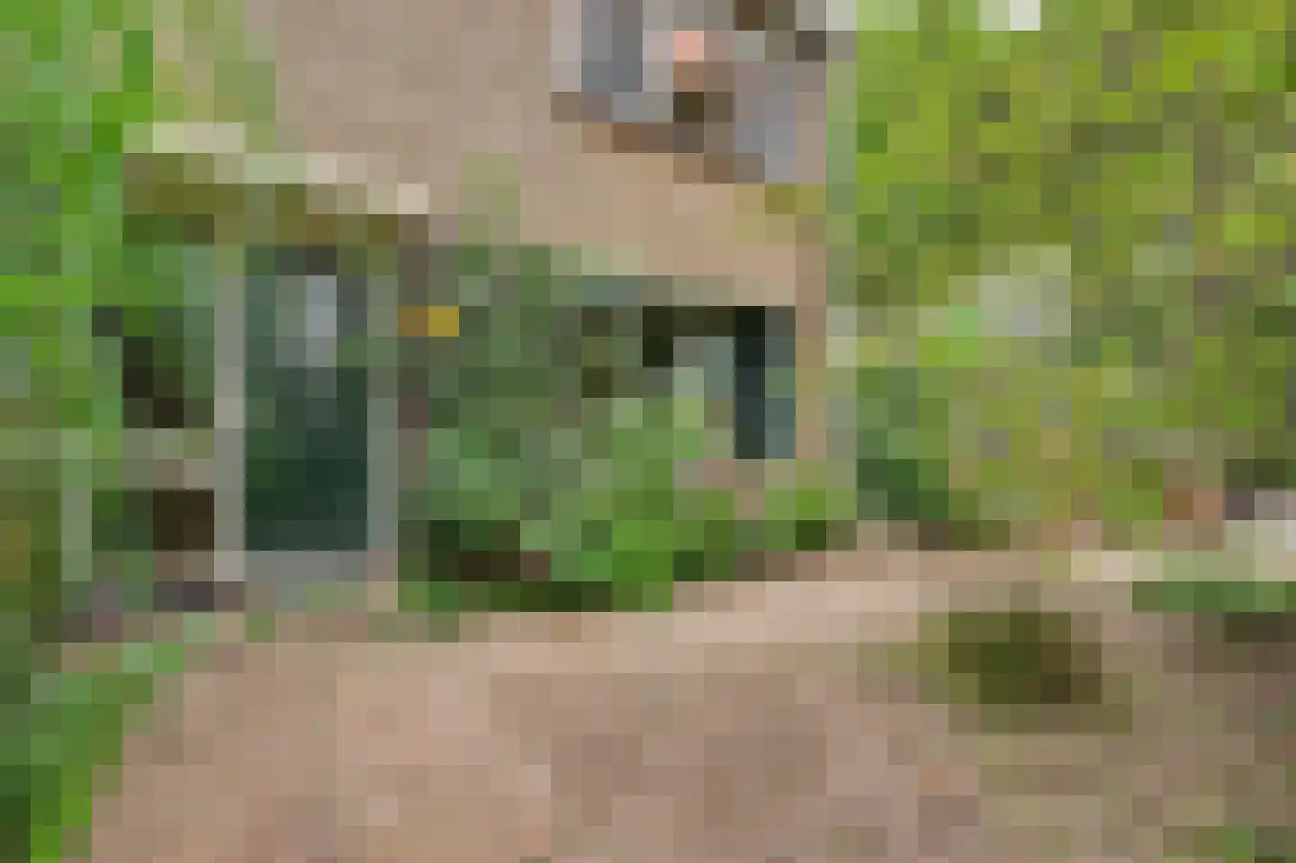 Lankforst 2350 Nijmegen thumbnail 7