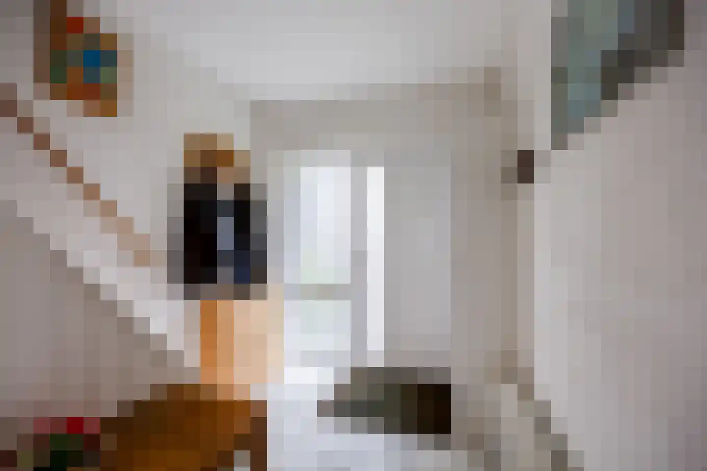 Lankforst 2360 Nijmegen thumbnail 5