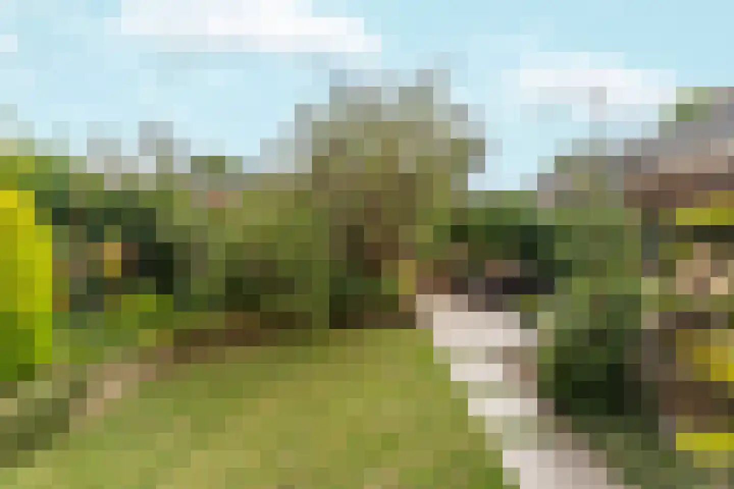 Lankforst 2446 Nijmegen thumbnail 43