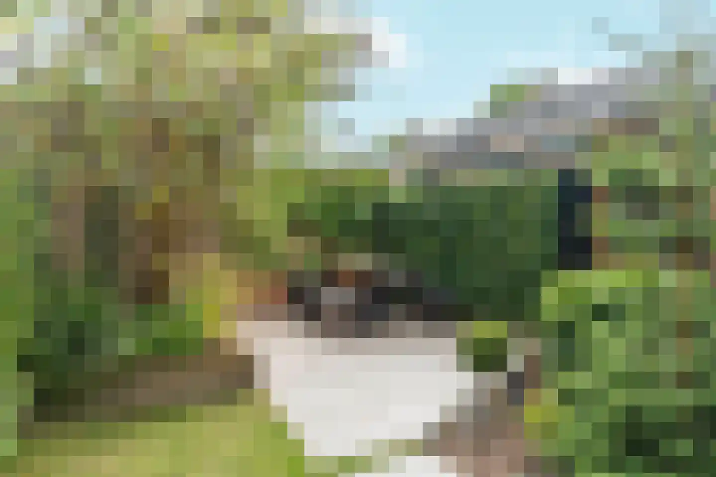 Lankforst 2446 Nijmegen thumbnail 44