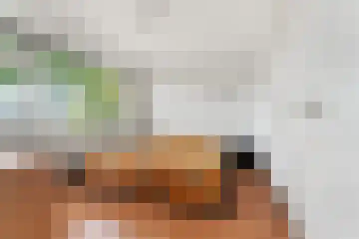 Lankforst 2456 Nijmegen thumbnail 15
