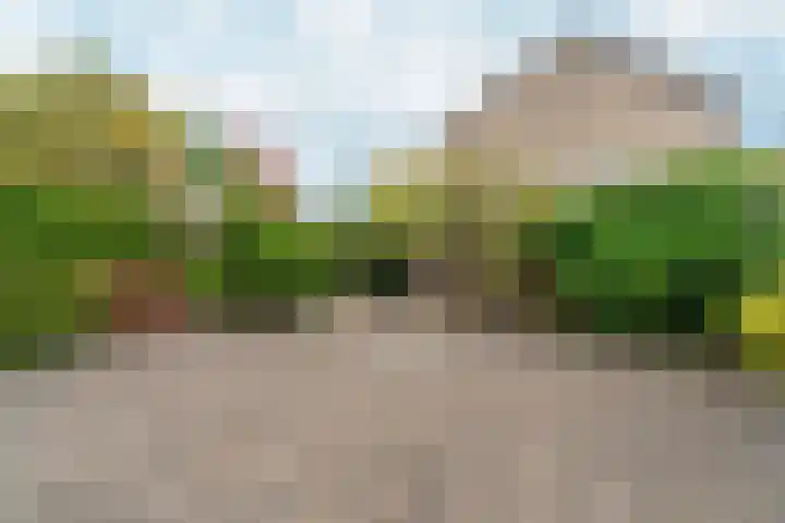 Lankforst 2456 Nijmegen thumbnail 26