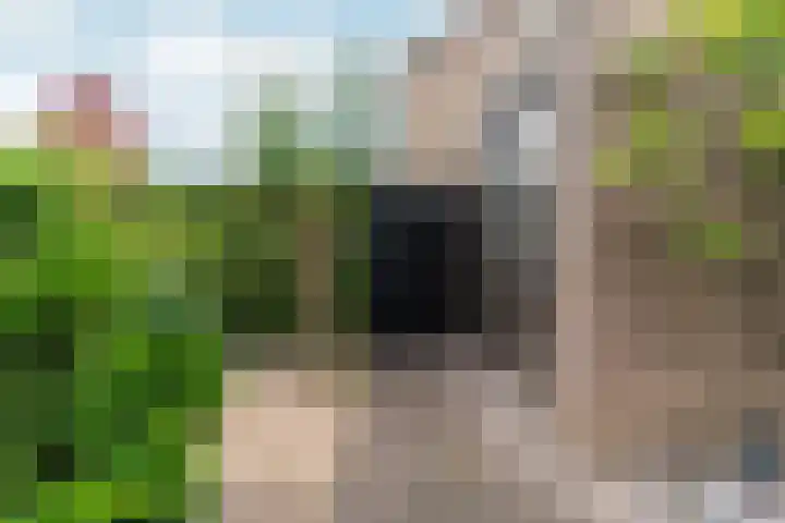 Lankforst 2456 Nijmegen thumbnail 27