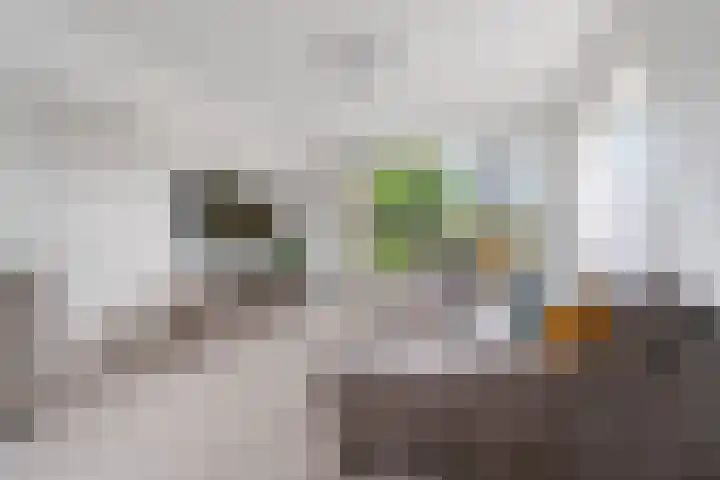 Lankforst 2456 Nijmegen thumbnail 4