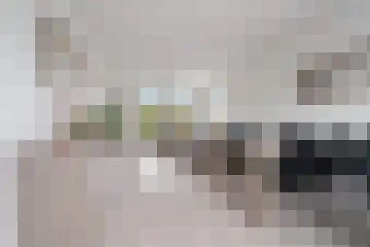 Lankforst 2456 Nijmegen thumbnail 7