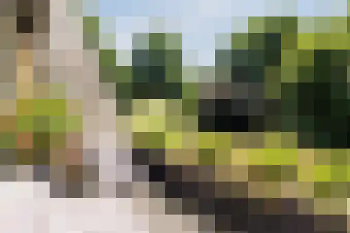 Lankforst 2721 Nijmegen thumbnail 13