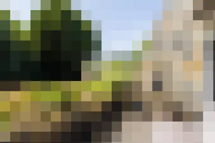 Lankforst 2721 Nijmegen thumbnail 14