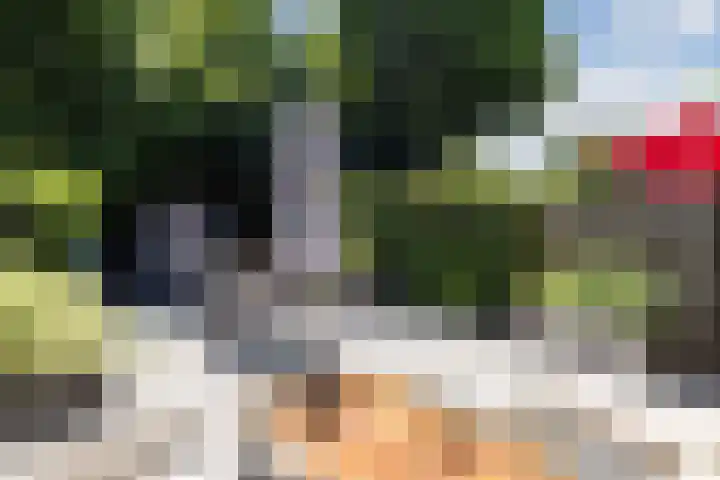Lankforst 2721 Nijmegen thumbnail 15
