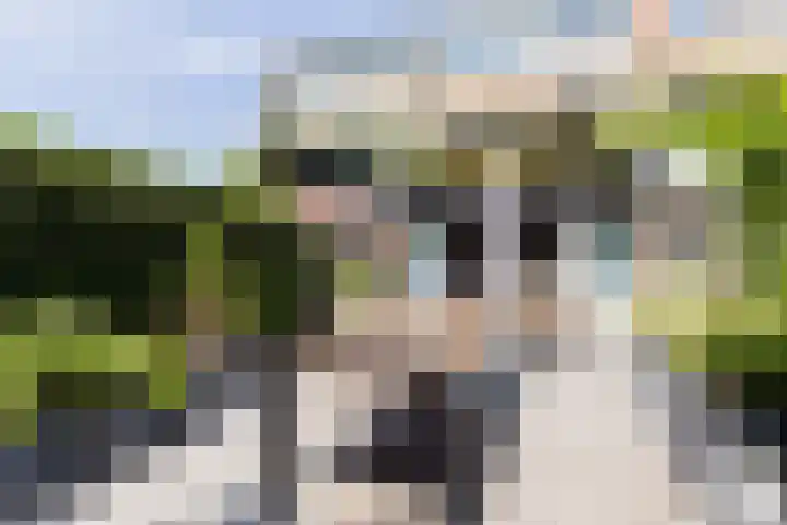 Lankforst 2721 Nijmegen thumbnail 16