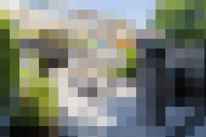 Lankforst 2721 Nijmegen thumbnail 17