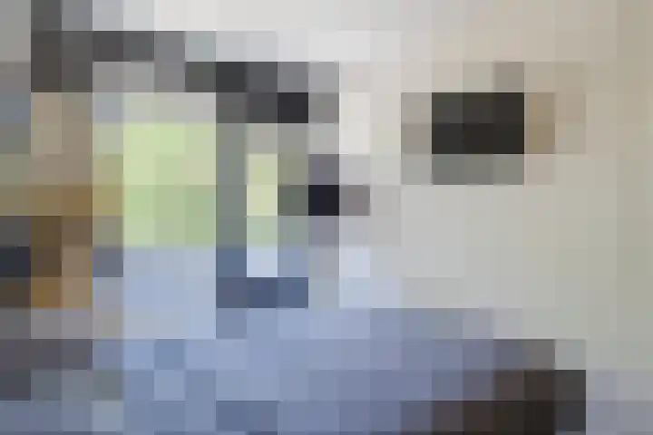 Lankforst 2721 Nijmegen thumbnail 26