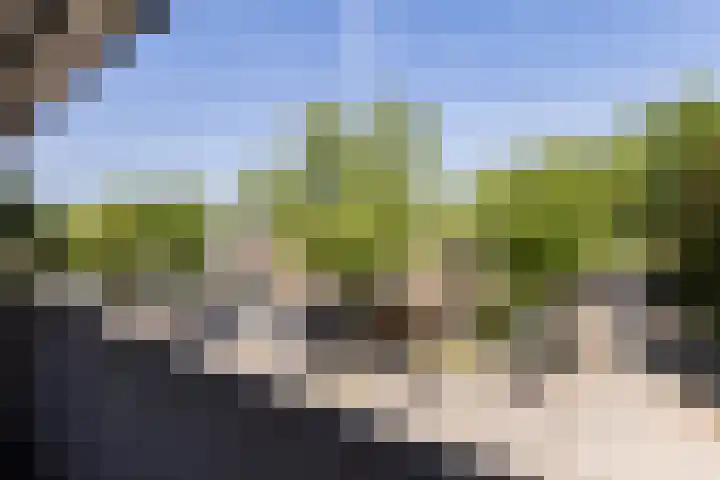 Lankforst 2721 Nijmegen thumbnail 28