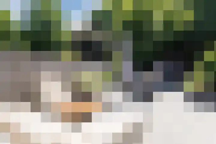 Lankforst 2721 Nijmegen thumbnail 34