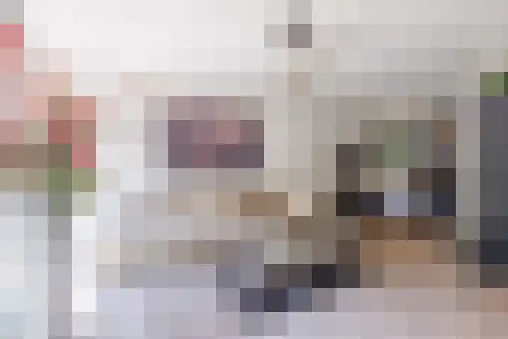 Lankforst 2721 Nijmegen thumbnail 6